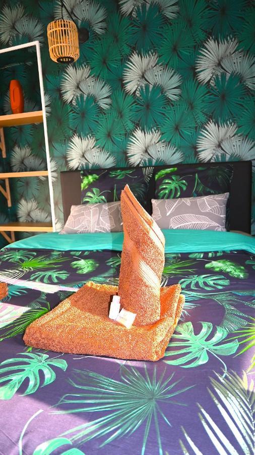 Class&Tropical Appt 10Mn Aeroport Roissy Cdg Appartement Villeneuve-sous-Dammartin Buitenkant foto
