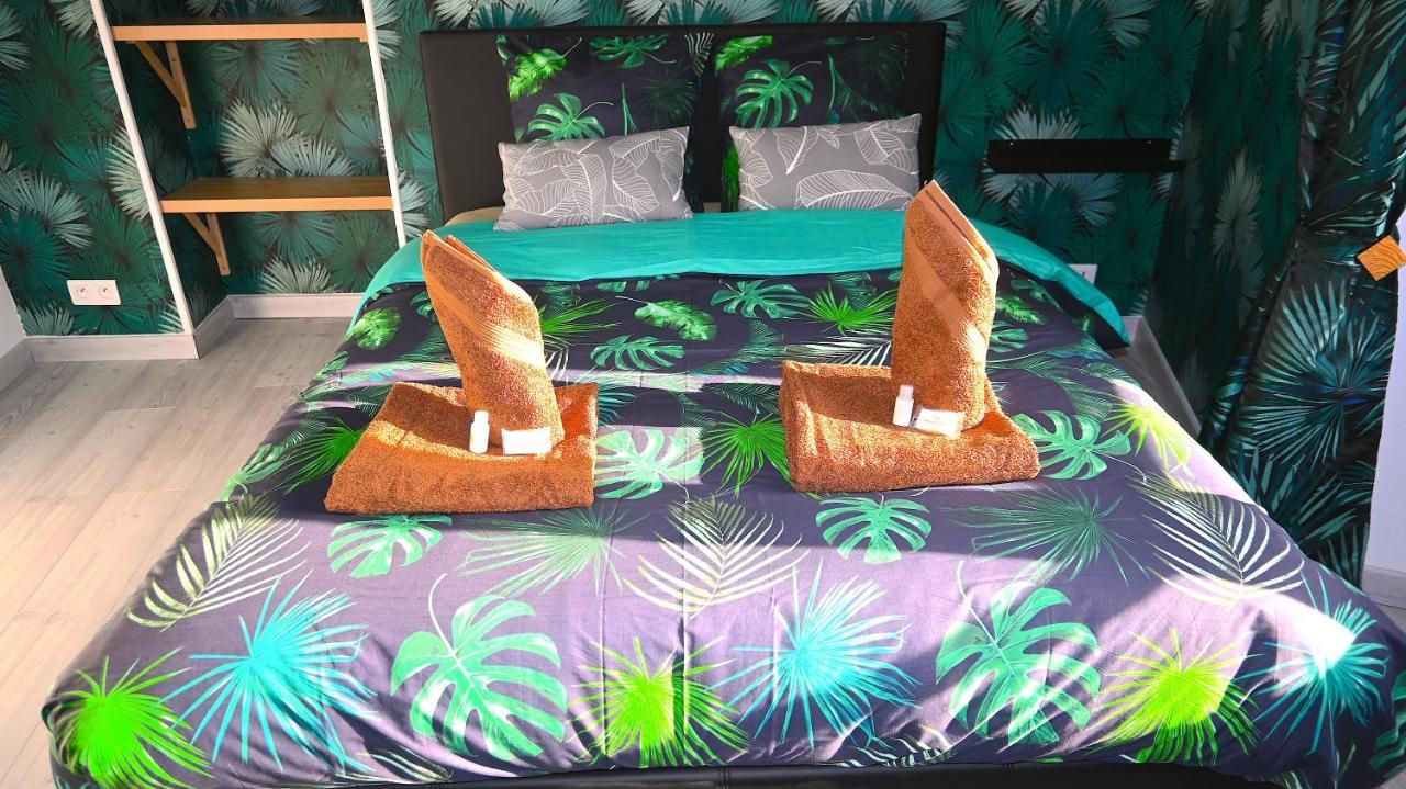Class&Tropical Appt 10Mn Aeroport Roissy Cdg Appartement Villeneuve-sous-Dammartin Buitenkant foto